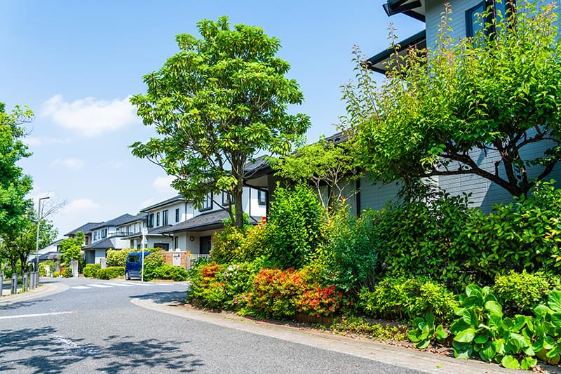 私たちが「プロの植木屋」である理由
