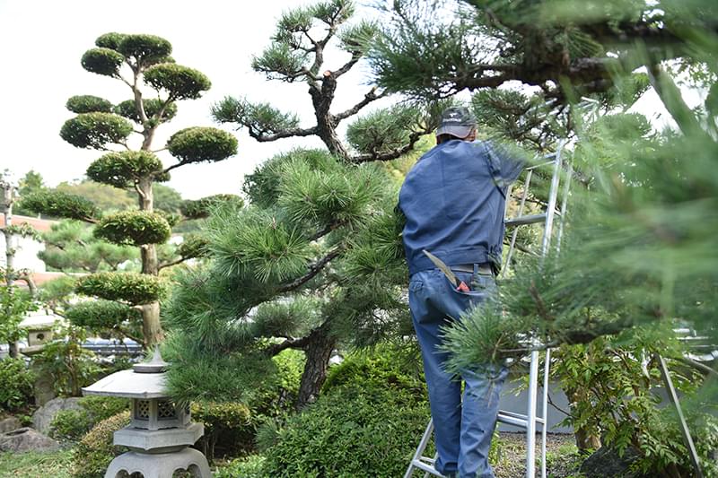 プロの技術で、丁寧に作業