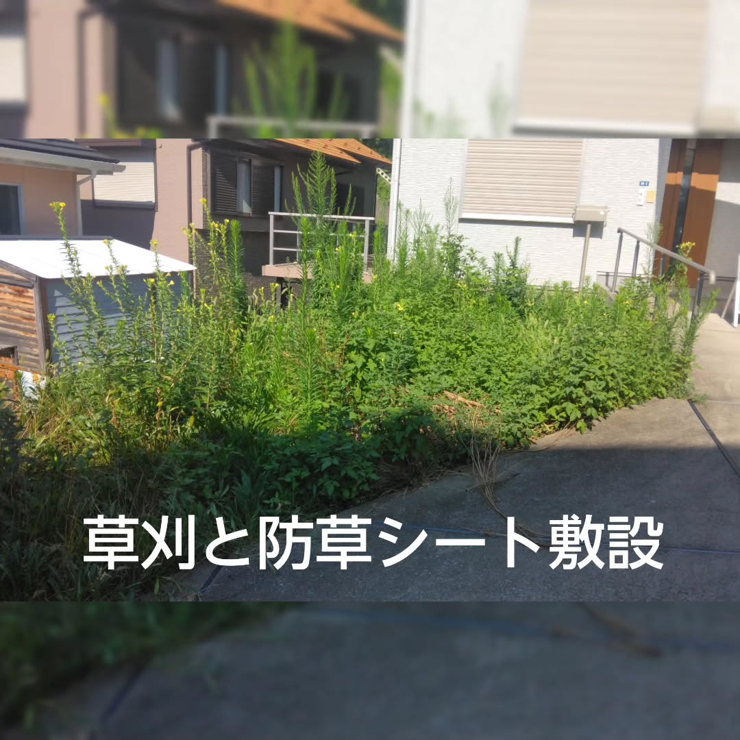 雑草の管理に悩まれていたお客様